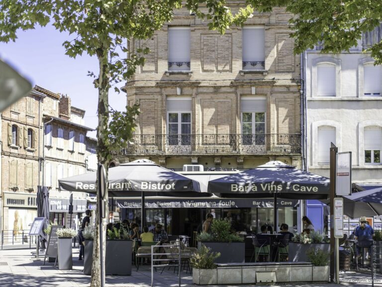 VIGNE EN FOULE, Gaillac ©Infinity Graphic