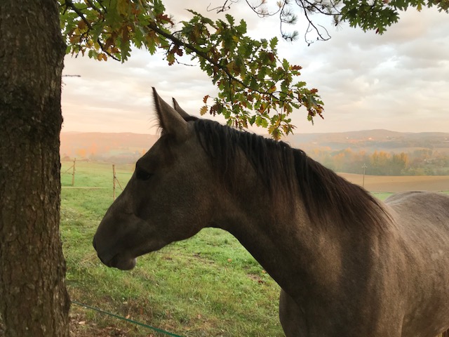 Domaine de la Durantie