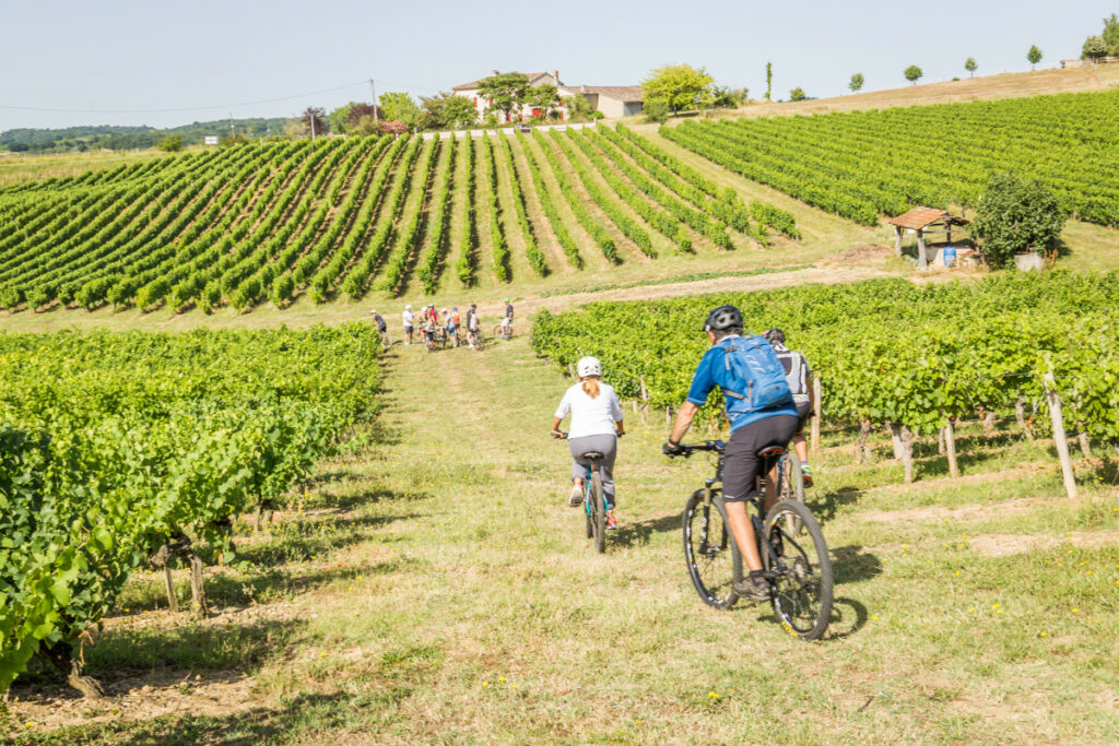 Balades VTT - Domaine de la Durantie