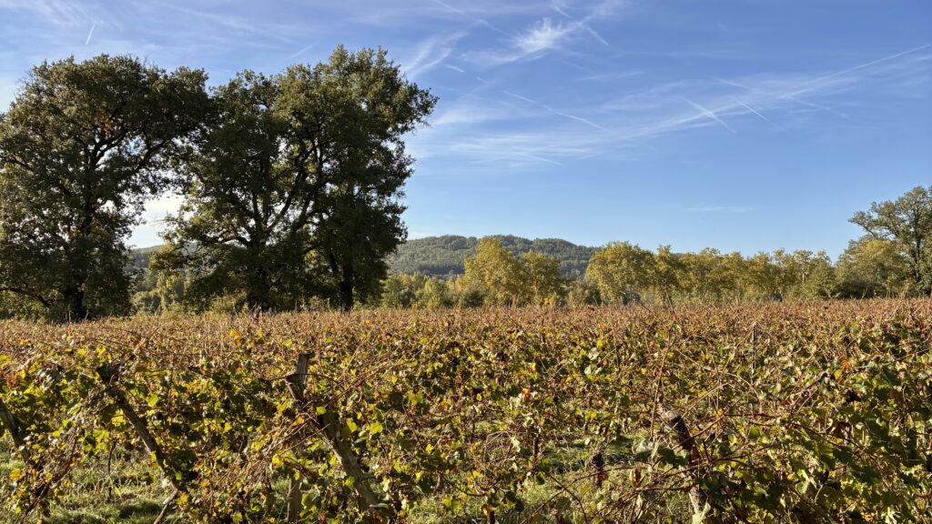 Paysage de campagne autour du domaine